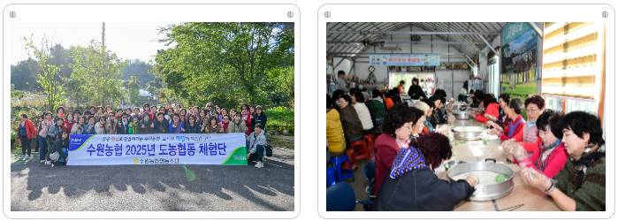 도농체험