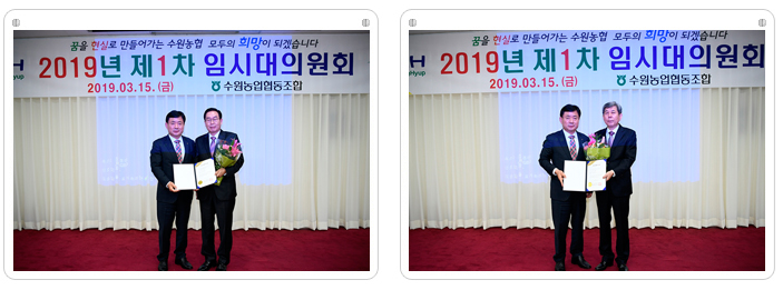 상임감사, 비상임감사 선거