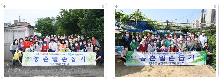 여성조직 농가 일손돕기