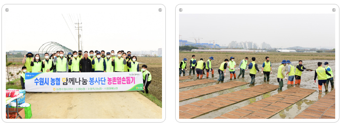 수원시농협 함께나눔 일손돕기