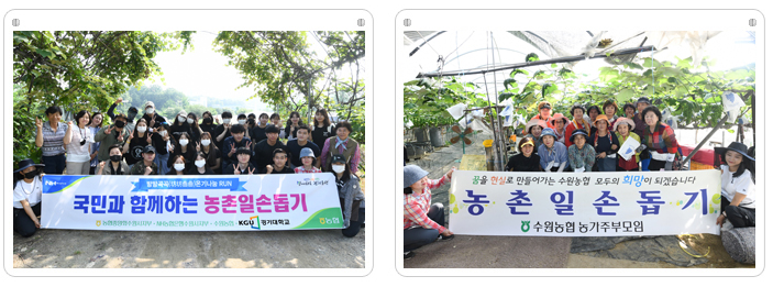 여성조직 농촌일손돕기 실시